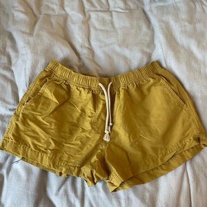 Yellow Mollusk Shorts
